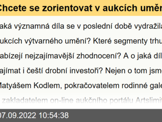 Chcete se zorientovat v aukcích umění a začít investovat? Trh není jen o milionových prodejích, říká Matyáš Kodl