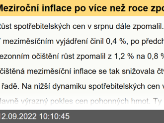 Meziroční inflace po více než roce zpomalila a je možné, že již dosáhla svého vrcholu  