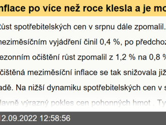 Inflace po více než roce klesla a je možné, že dosáhla svého vrcholu  