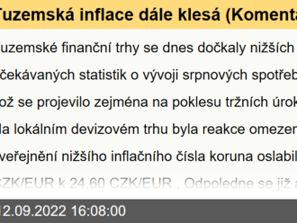 Tuzemská inflace dále klesá  