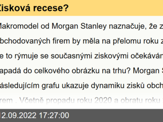 Zisková recese?