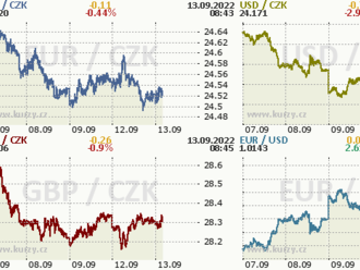 Koruna setrvala poblíž 24,50 EUR/CZK