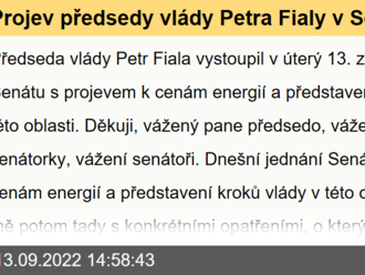 Projev předsedy vlády Petra Fialy v Senátu k národnímu řešení energetické krize