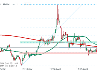 Palladium kleslo o téměř 6 %