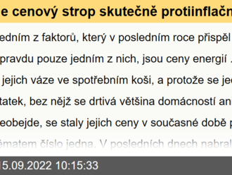 Je cenový strop skutečně protiinflační?  