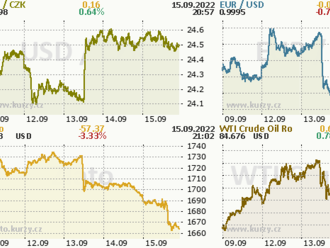 Euro levnější než dolar: Důvěra trhu v jednotnou evropskou měnu se bude obnovovat složitě, vyšší sazby situaci neřeší