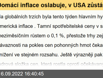 Domácí inflace oslabuje, v USA zůstává robustní  