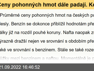 Ceny pohonných hmot dále padají. Kdy se vyplatí tankovat?