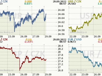 Jak zareaguje koruna na ČNB?