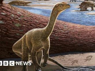 Africa's oldest dinosaur found in Zimbabwe