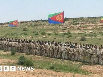 Eritrea's mass mobilisation amid Ethiopia civil war