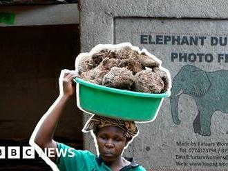 The Ugandan women turning elephant dung to household items