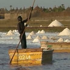 Cestománie - Senegal: Ve stínu baobabu