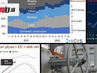 Dátoví analytici poriadne naložili politikom: Plynu je dosť, ide im len o to, aby vás nasilu zachraňovali!