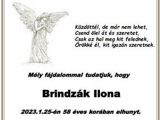 Smútočné oznámenie - Ilona Brindzák  