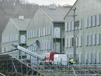 Na Tachovsku kvůli ptačí chřipce utratí 220.000 slepic, ohnisko i v Sedlčanech