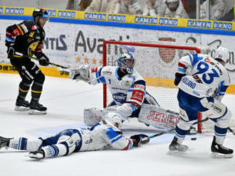 Brno porazilo Litvínov 3:1 a naplno bodovalo po čtrnácti duelech