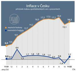 Analytici očekávají prosincovou inflaci mezi 15,8 a 17,2 procenta