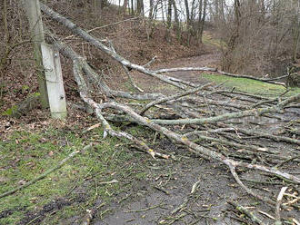 Na východě České republiky odstraňovali profesionální i dobrovolní hasiči následky silného větru