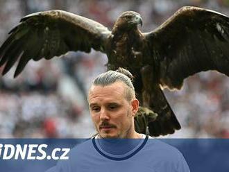 Atilla, bič na Eintracht. Orlí maskot z Frankfurtu zlobí organizaci PETA