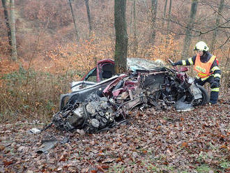 Řidič havaroval u Bohuslavic u Zlína, vyjel z komunikace a narazil do stromu