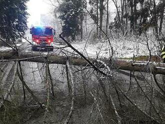 Na projíždějící automobil na Bruntálsku spadl strom