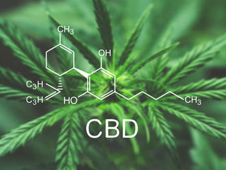 CBD a využitie v medicíne – na čo pomáha CBD ?