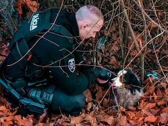 Policajti HRDINOVIA: Pomohli zachrániť psíka, ktorý sa niekoľko dní trápil, FOTO