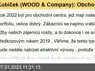 Kubíček  : Obchodní centra ustála krizové roky se ctí, do dvou let se inflace a vyšší tržby obchodníků propíší do nájemních smluv