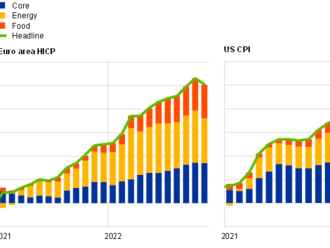 Inflation developments in the euro area and the United States