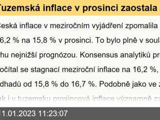 Tuzemská inflace v prosinci zaostala za očekáváními  