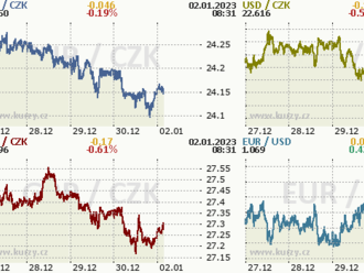 Koruna zakončila minulý rok s tříprocentním ziskem oproti euru