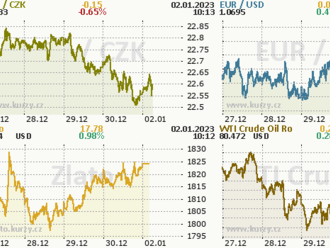 Euro si svou pozici coby významné globální měny udrží. I vůči americkému dolaru