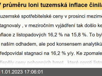 V průměru loni tuzemská inflace činila 15,1 %  