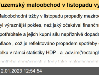 Tuzemský maloobchod v listopadu vykázal opět výrazný meziroční pokles