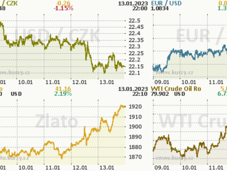 Euro atakuje devítiměsíční maximum  