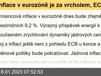 Inflace v eurozóně je za vrcholem, ECB ale ještě odpracováno nemá  