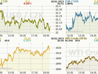 Euro atakuje devítiměsíční maximum    