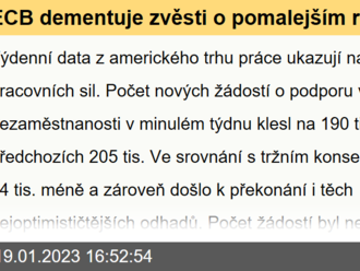 ECB dementuje zvěsti o pomalejším růstu sazeb  