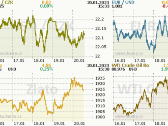 Euro na devítiměsíčním maximu, koruna nejsilnější od 2008  