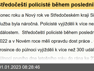 Středočeští policisté během posledního dne roku 2022 a v Novém roce měli opravdu dost práce.