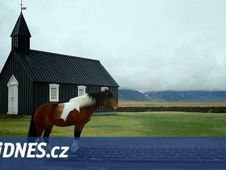 VIDEO: Na pracovní e-maily za vás odpoví kůň. Island láká na dovolenou