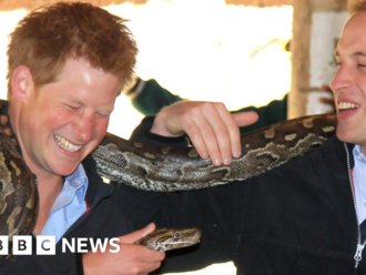 Letter from Africa: Prince Harry and a royal scramble for the continent