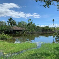 Florida – dar k výročí svatby