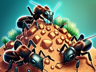 Ant Colony