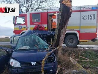 Tragická nehoda pri Vrbovom: Vo vozidle našli už len bezvládne telo, auto skončilo na šrot