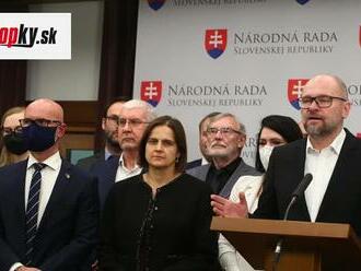 SaS navrhuje, aby v prípade materskej dovolenky mandát poslanca nezanikal