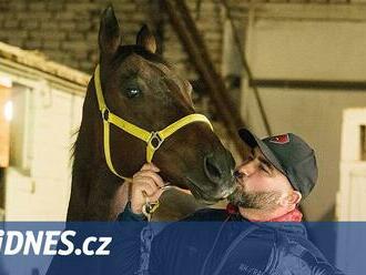 Velká pardubická má mít větší prestiž, říká trenér Holčák. Vsadí na žokeje z Francie