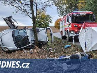 Senior na Orlickoústecku narazil autem do stromu, spolujezdkyně nepřežila