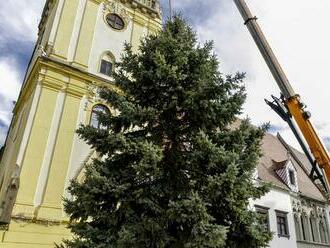 Vianočné trhy Bratislava predĺži do Silvestra, na námestí už stojí stromček